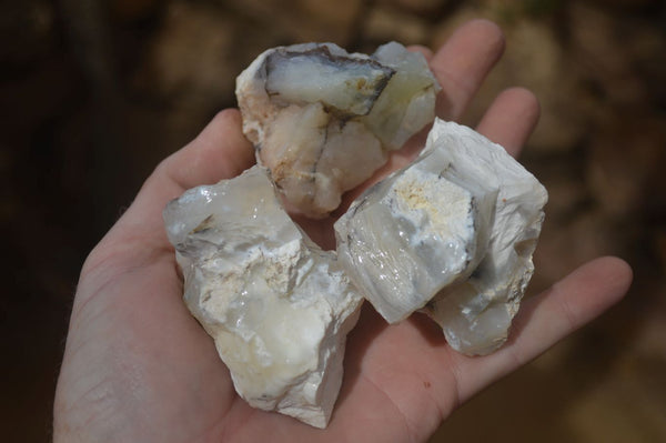 Natural Rough Dendritic White Opal Specimens  x 24 From Madagascar