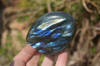 Polished Labradorite Standing Free Forms  x 6 From Tulear, Madagascar