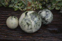 Polished Leopard Stone Spheres (Stone Sealed) x 3 From Zimbabwe - Toprock Gemstones and Minerals 