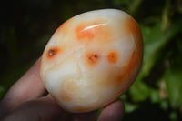 Polished Carnelian Agate Standing Free Forms  x 6 From Madagascar - Toprock Gemstones and Minerals 