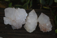 Natural White Cactus Flower Spirit Quartz Specimens  x 12 From Boekenhouthoek, South Africa - Toprock Gemstones and Minerals 