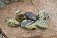 Polished Leopard Stone Free Forms  x 6 From Inyanga, Zimbabwe