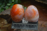 Polished Carnelian Agate Standing Free Forms  x 6 From Madagascar - Toprock Gemstones and Minerals 