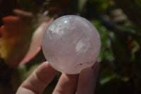 Polished Rare Star Rose Quartz Spheres x 3 From Ambatondrazaka, Madagascar