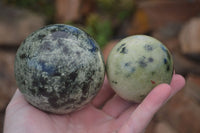 Polished Leopard Stone Spheres (Stone Sealed) x 3 From Zimbabwe - Toprock Gemstones and Minerals 