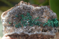 Natural Rare Ball Malachite On Drusi Quartz & Dolomite Matrix (A Grade) x 2 From Kambove, Namibia - Toprock Gemstones and Minerals 