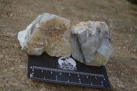 Natural Rough Dendritic White Opal Specimens  x 24 From Namibia