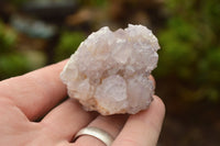 Natural Mixed Spirit Quartz Clusters  x 35 From Boekenhouthoek, South Africa - TopRock