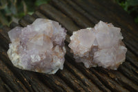 Natural Spirit Amethyst Cactus Quartz Clusters  x 12 From Boekenhouthoek, South Africa - Toprock Gemstones and Minerals 