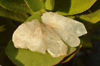 Natural Small Semi Optic Selected Quartz Crystals & Clusters  x 35 From Madagascar - TopRock