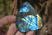 Polished Labradorite Standing Free Forms  x 6 From Tulear, Madagascar