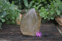 Polished Large Smokey Quartz Crystal Point  x 1 From Madagascar - TopRock