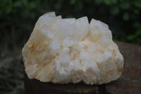 Natural White Phantom Candle Quartz Clusters  x 3 From Madagascar - Toprock Gemstones and Minerals 