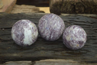 Polished Purple Lepidolite Spheres  x 3 From Madagascar