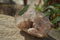 Natural Cascading White Phantom Smokey Quartz Crystals x 6 From Luena, Congo