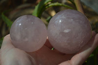 Polished Rare Star Rose Quartz Spheres x 3 From Ambatondrazaka, Madagascar