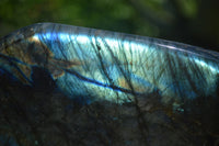 Polished Flashy Labradorite Standing Free Forms  x 2 From Tulear, Madagascar - Toprock Gemstones and Minerals 