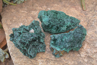 Natural Chatoyant Silky Malachite Specimens  x 3 From Kasompe, Congo