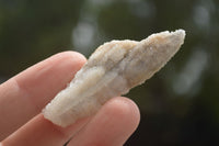 Natural Hollow Drusy Coated Calcite Pseudomorph Crystals  x 7 From Alberts Mountain, Lesotho - TopRock