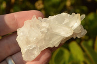 Natural Small Semi Optic Selected Quartz Crystals & Clusters  x 35 From Madagascar - TopRock