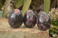 Polished Pink & Black Rhodonite Eggs x 3 From Madagascar