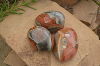 Polished Polychrome Jasper Nodules (Rough Back) x 3 From Madagascar - Toprock Gemstones and Minerals 