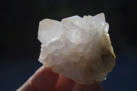 Natural White Cactus Flower Spirit Quartz Specimens  x 12 From Boekenhouthoek, South Africa - Toprock Gemstones and Minerals 