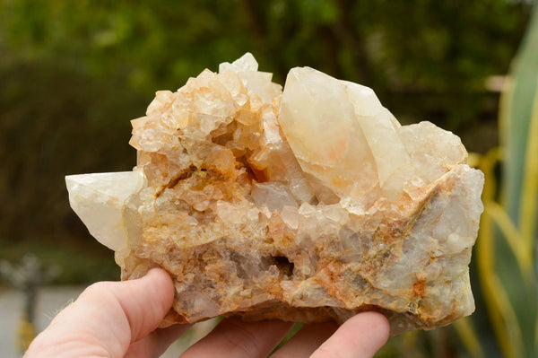 Natural Large Spirit Quartz Clusters  x 2 From Boekenhouthoek, South Africa - TopRock