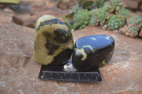 Polished Leopard Stone Free Forms  x 6 From Inyanga, Zimbabwe