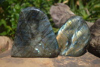 Polished Flashy Labradorite Standing Free Forms  x 2 From Tulear, Madagascar - Toprock Gemstones and Minerals 