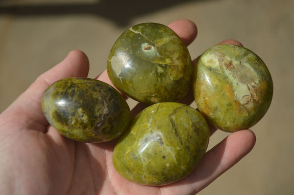 Polished Green Opal Galet / Palm Stones x 12 From Antsirabe Madagascar