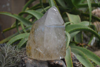 Polished Large Smokey Quartz Crystal Point  x 1 From Madagascar - TopRock