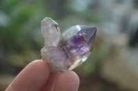 Natural Royal Zulu Window Amethyst Crystals x 20 From, South Africa