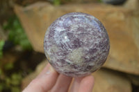 Polished Purple Lepidolite Spheres  x 3 From Madagascar