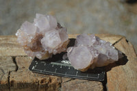 Natural Spirit Amethyst Cactus Quartz Clusters  x 12 From Boekenhouthoek, South Africa - Toprock Gemstones and Minerals 