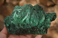 Polished  Chatoyant Silky Malachite Specimens  x 2 From Congo