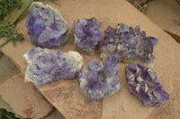 Natural Dark Amethyst Crystal Clusters x 6 From Zambia