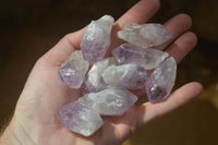 Natural Jacaranda Amethyst Crystals x 70 From Zambia