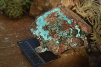 Natural Drusy Coated Chrysocolla & Malachite Specimens x 2 From Likasi, Congo