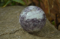 Polished Purple Lepidolite Spheres  x 3 From Madagascar