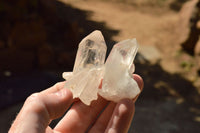 Natural Small Mixed Quartz Clusters (Mostly Intact and Semi Optic) x 35 From Mandrosonoro, Madagascar - TopRock