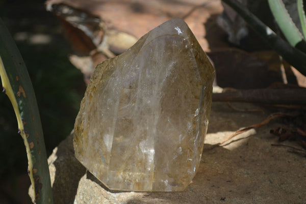 Polished Large Smokey Quartz Crystal Point  x 1 From Madagascar - TopRock