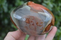 Polished Polychrome Jasper Nodules (Rough Back) x 3 From Madagascar - Toprock Gemstones and Minerals 