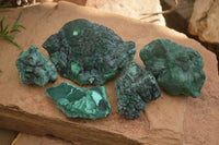 Natural Botryoidal Silky Malachite Specimens  x 5 From Congo