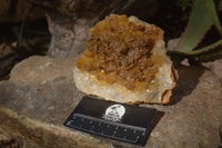 Natural Limonite Quartz Clusters x 4 From Solwezi, Zambia