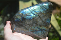 Polished Flashy Labradorite Standing Free Forms  x 2 From Tulear, Madagascar - Toprock Gemstones and Minerals 