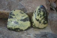 Polished Leopard Stone Free Forms  x 6 From Inyanga, Zimbabwe