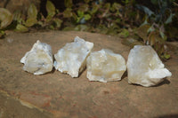 Natural Rough Dendritic White Opal Specimens  x 24 From Madagascar