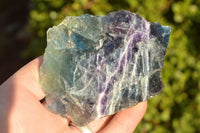 Natural Cobbed & Stone Sealed Watermelon Fluorite Pieces x 12 From Uis, Namibia - TopRock