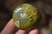 Polished Green Opal Galet / Palm Stones x 12 From Antsirabe Madagascar